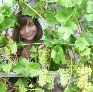 Блог Олёны Непомнящей . Виноград на северных песках. Начало коллекции. Я и сорт винограда Кристалл, 2006 год.