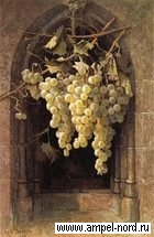 Федор Тютчев, Золотистый виноград, Стихи о винограде. Блог Олёны Непомнящей 