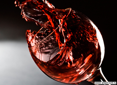 Из мира вина … Пять сортов винограда, вина из которых войдут в моду .