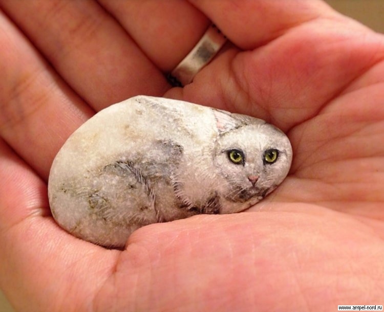 Есть я у камня у зверя. Японская художница акие наката. Камень домашний питомец. Милый камушек. Животное похожее на камень.