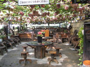 Виноград в Японии. Блог Олёны Непомнящей.