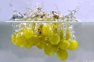 Вода на винограднике Анализ воды. Блог Олёны Непомнящей.