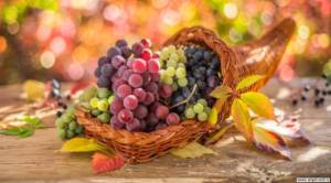 Закон о виноградарстве и виноделии: отзывы и мнения.
