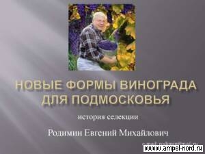 Евгений Родимин- Кишмиш московский