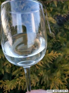 Зачем вообще делают и пьют вино — Натуральное Сухое Виноградное…